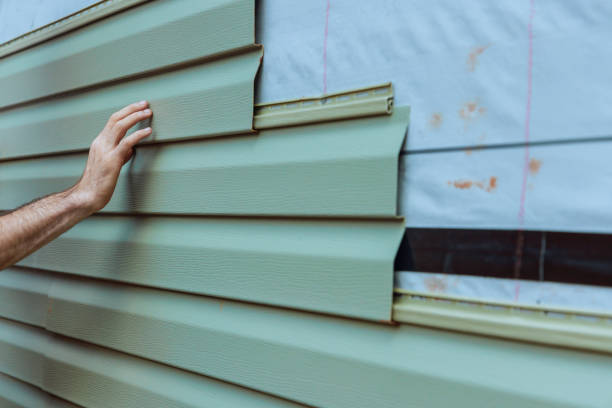 Best Insulated Siding Installation  in Lutcher, LA